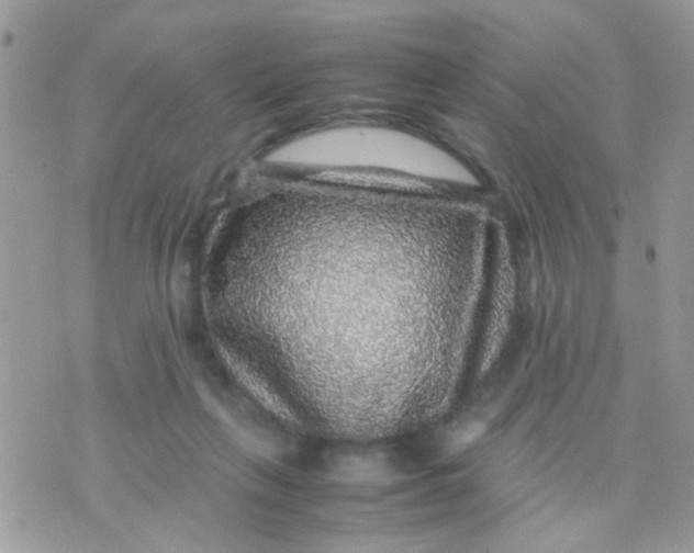 X0000070410263200606302043