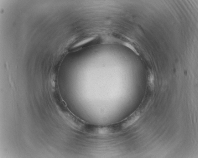 X0000070410264200606302043