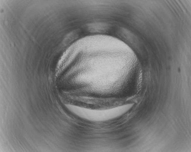 X0000070410265200606302043