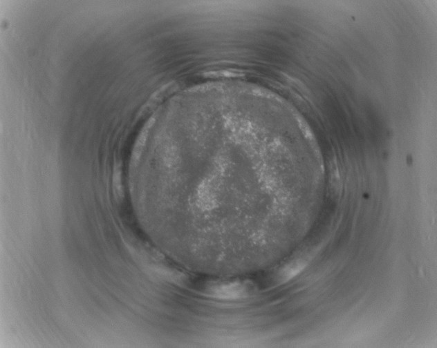 X0000070410267200606302044