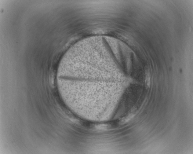 X0000070410268200606302044