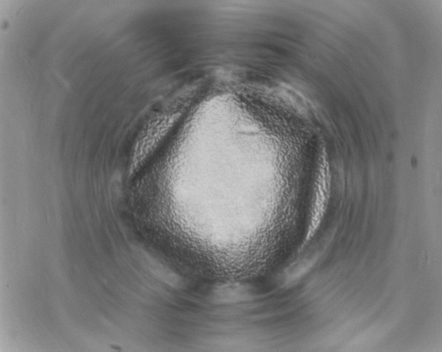 X0000070410269200606302044