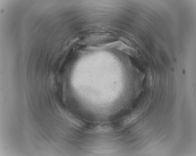 X0000070410270200606302044