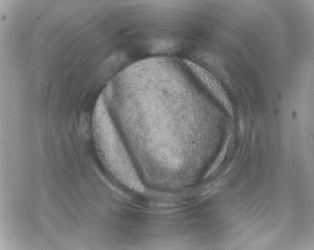 X0000070410273200606302044