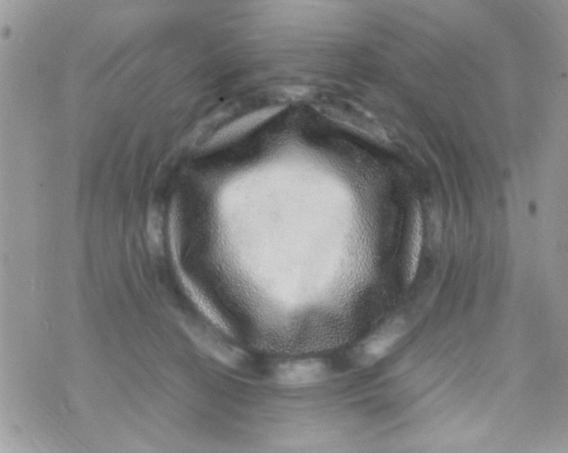 X0000070410274200606302044