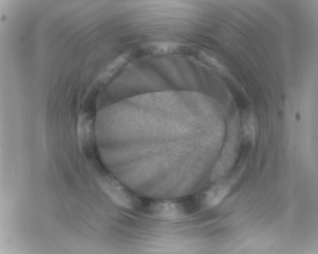 X0000070410276200606302044