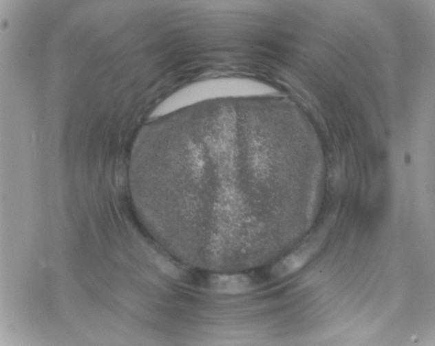 X0000070410277200606302044