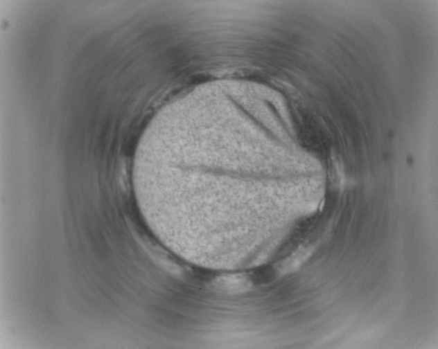 X0000070410280200606302044