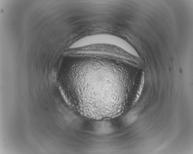 X0000070410281200606302044