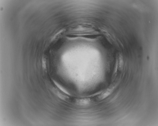 X0000070410282200606302044