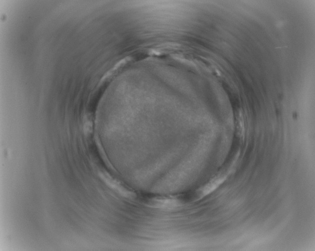 X0000070410284200606302044