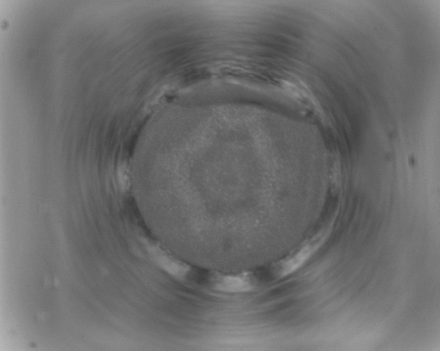 X0000070410285200606302044