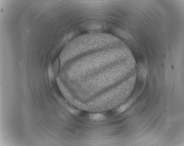 X0000070410287200606302044