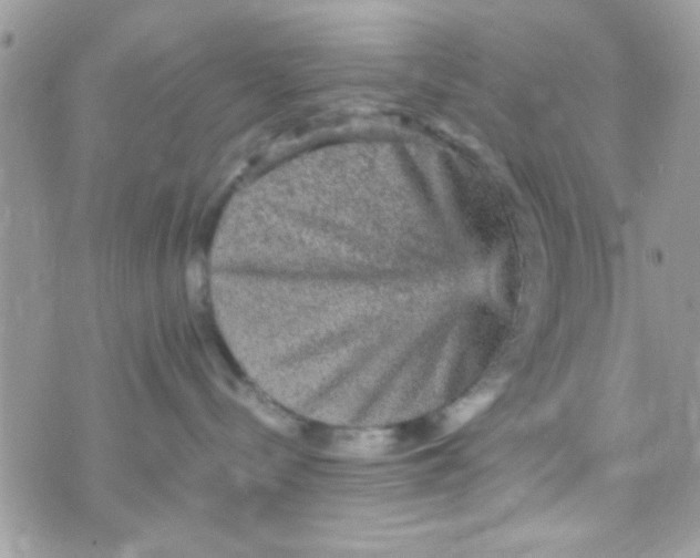 X0000070410288200606302044