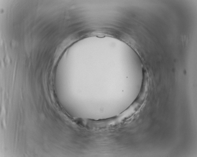 X0000070410289200606302043