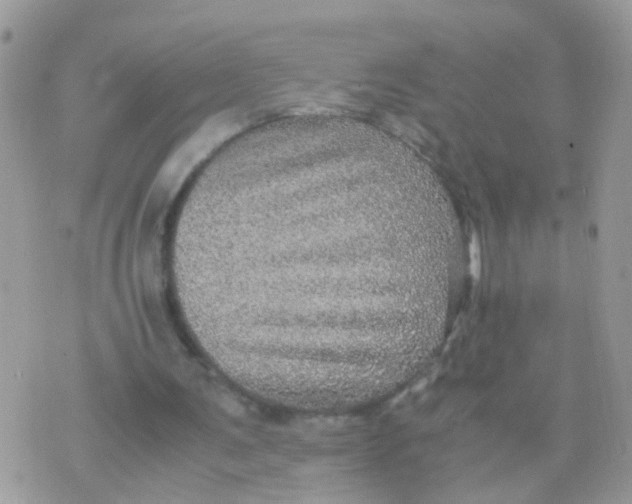 X0000070410291200606302043