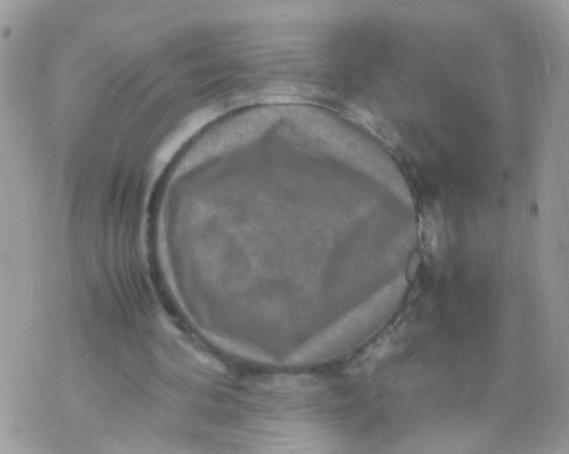 X0000070410292200606302043