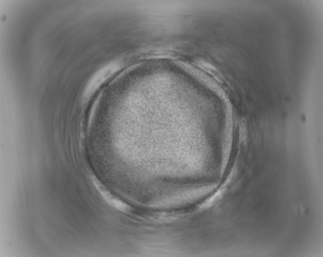 X0000070410293200606302043