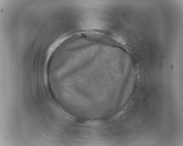 X0000070410294200606302043