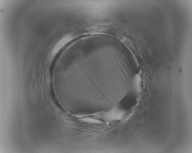 X0000070410295200606302043