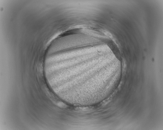 X0000070410297200606302043