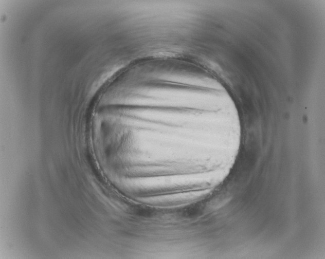 X0000070410299200606302043