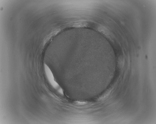 X0000070410303200606302043