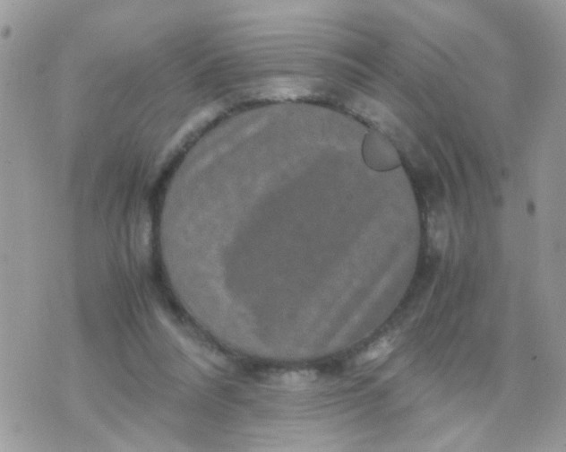 X0000070410304200606302043