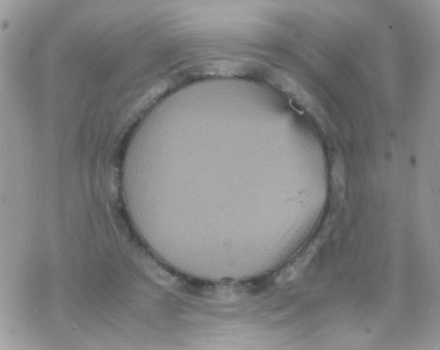 X0000070410305200606302043