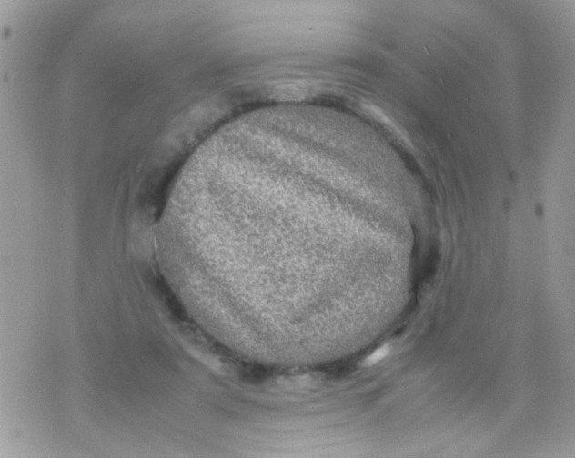 X0000070410307200606302043