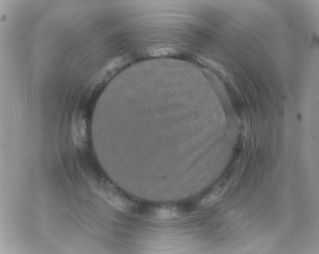 X0000070410308200606302043