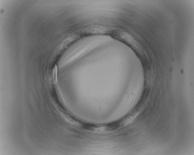 X0000070410309200606302043