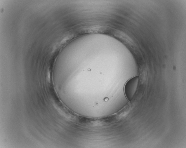 X0000070410310200606302043