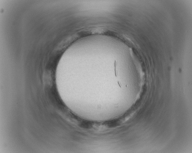 X0000070410311200606302043