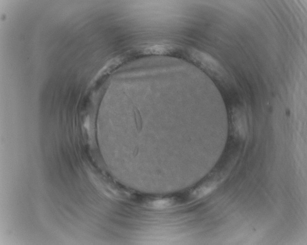 X0000070410312200606302043