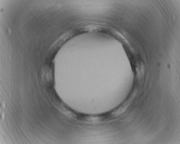 X0000070410313200606302043