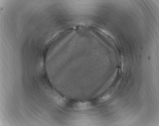 X0000070410314200606302043