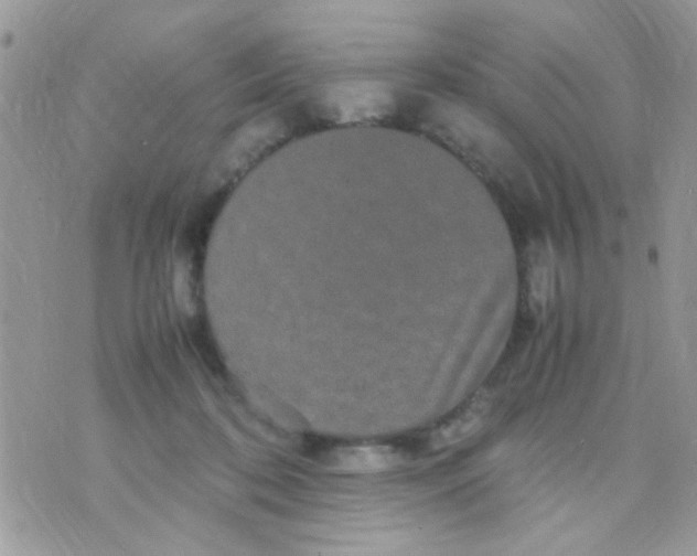 X0000070410316200606302043