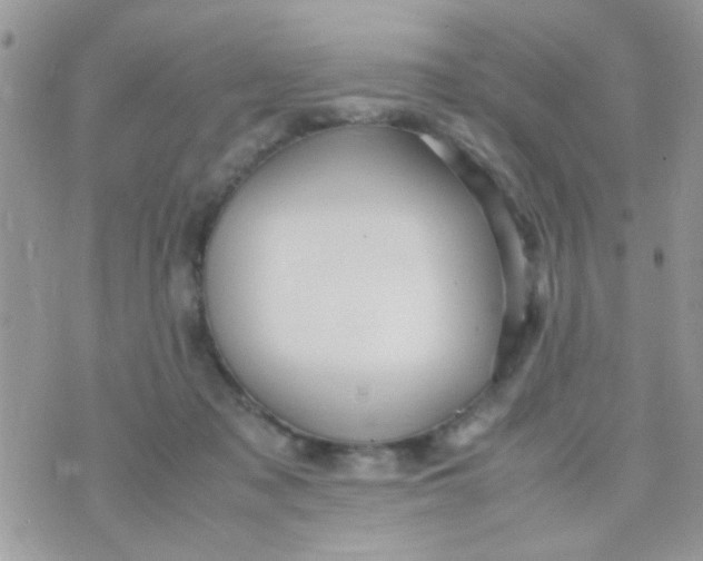 X0000070410317200606302043