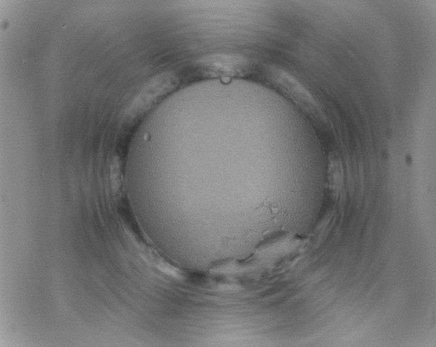 X0000070410318200606302043