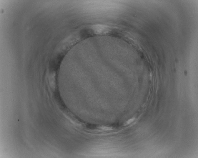 X0000070410319200606302043