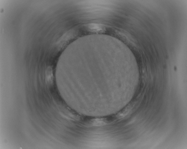 X0000070410320200606302043