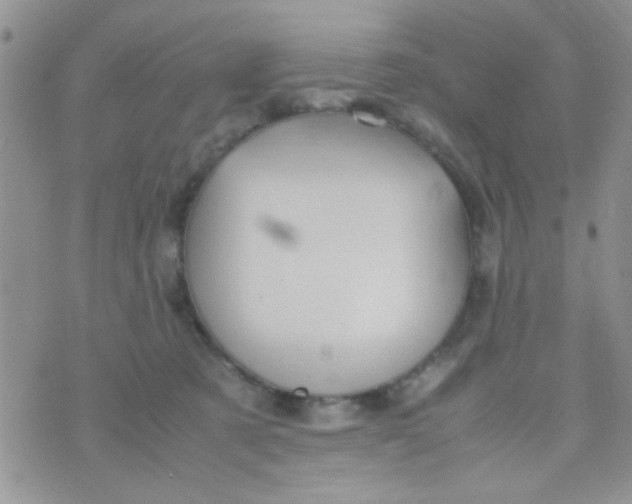 X0000070410321200606302043