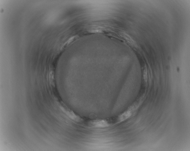 X0000070410322200606302043