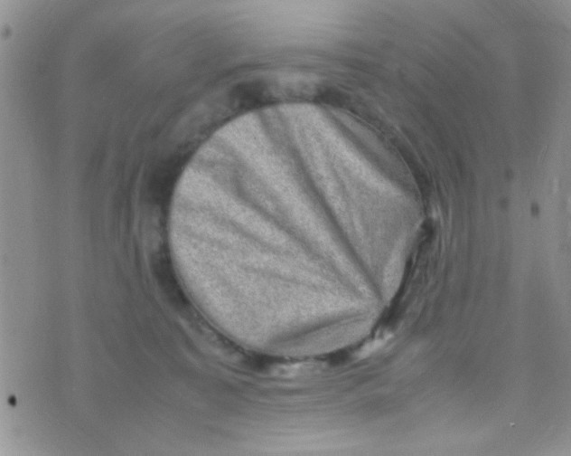 X0000070410323200606302043