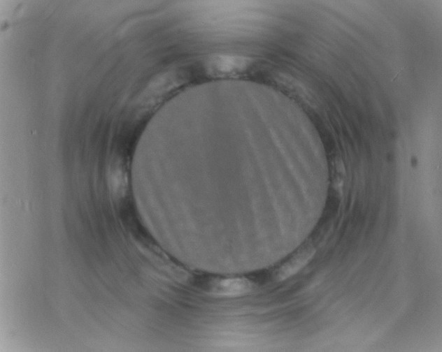 X0000070410324200606302042