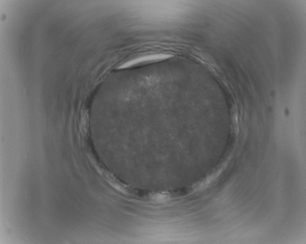 X0000070410325200606302042