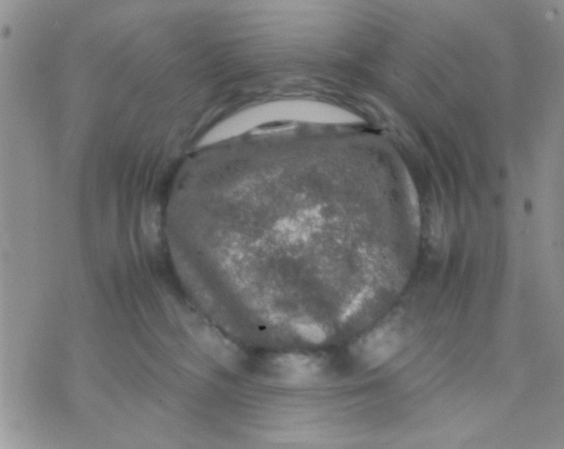 X0000070410326200606302042