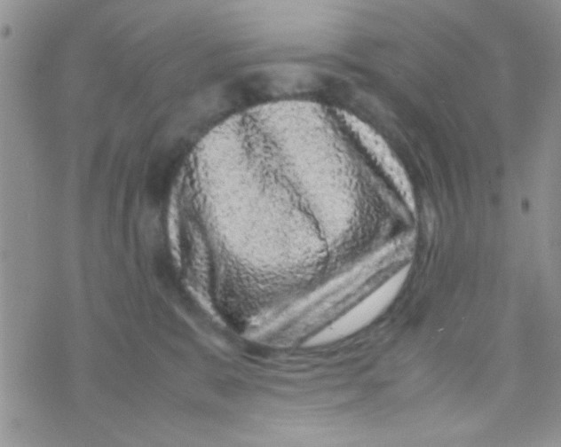 X0000070410327200606302042