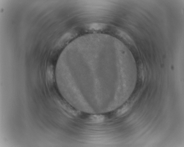 X0000070410328200606302042